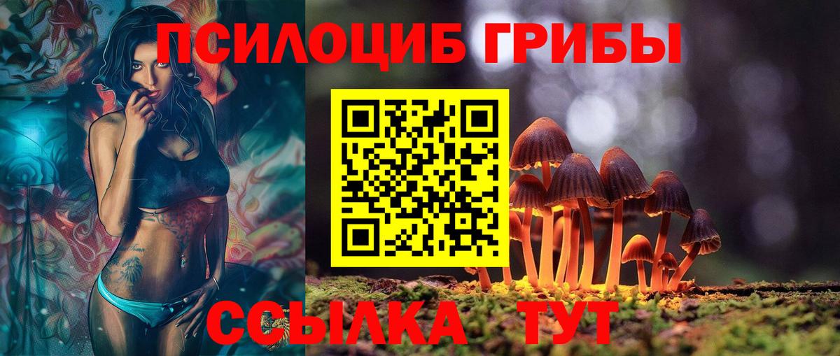 Галлюциногенные грибы прущие грибы  Псилоцибиновые грибы GOLDEN TEACHER  Ялуторовск  Вход с VPN 