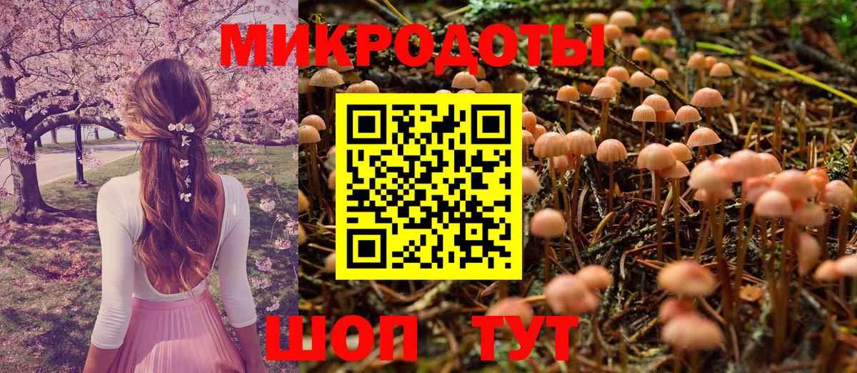 Псилоцибиновые грибы прущие грибы Ялуторовск